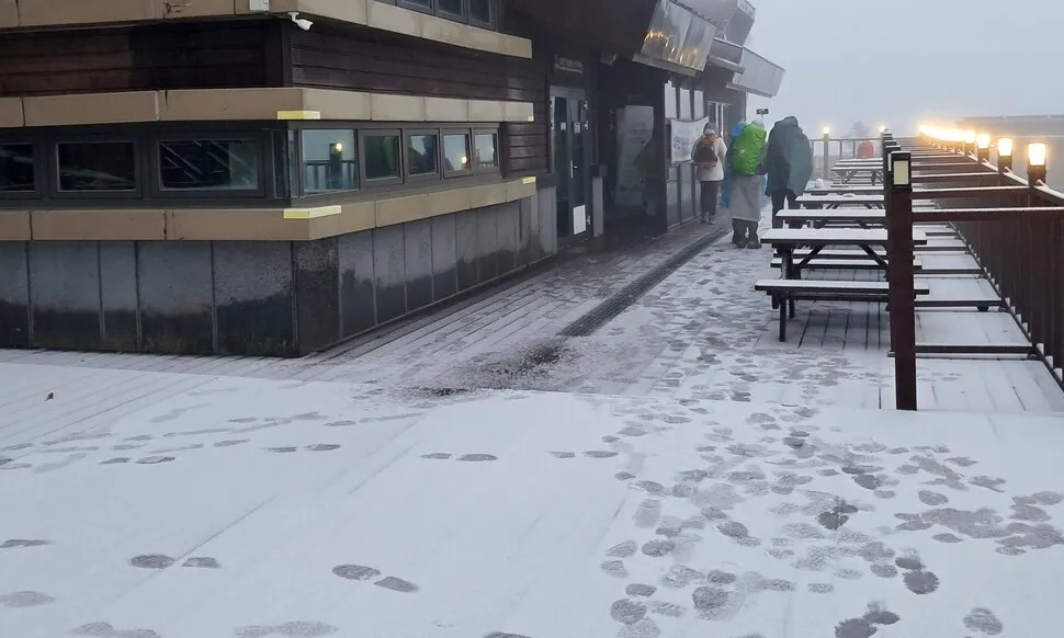 ESG / ESG오늘 / 이에스지