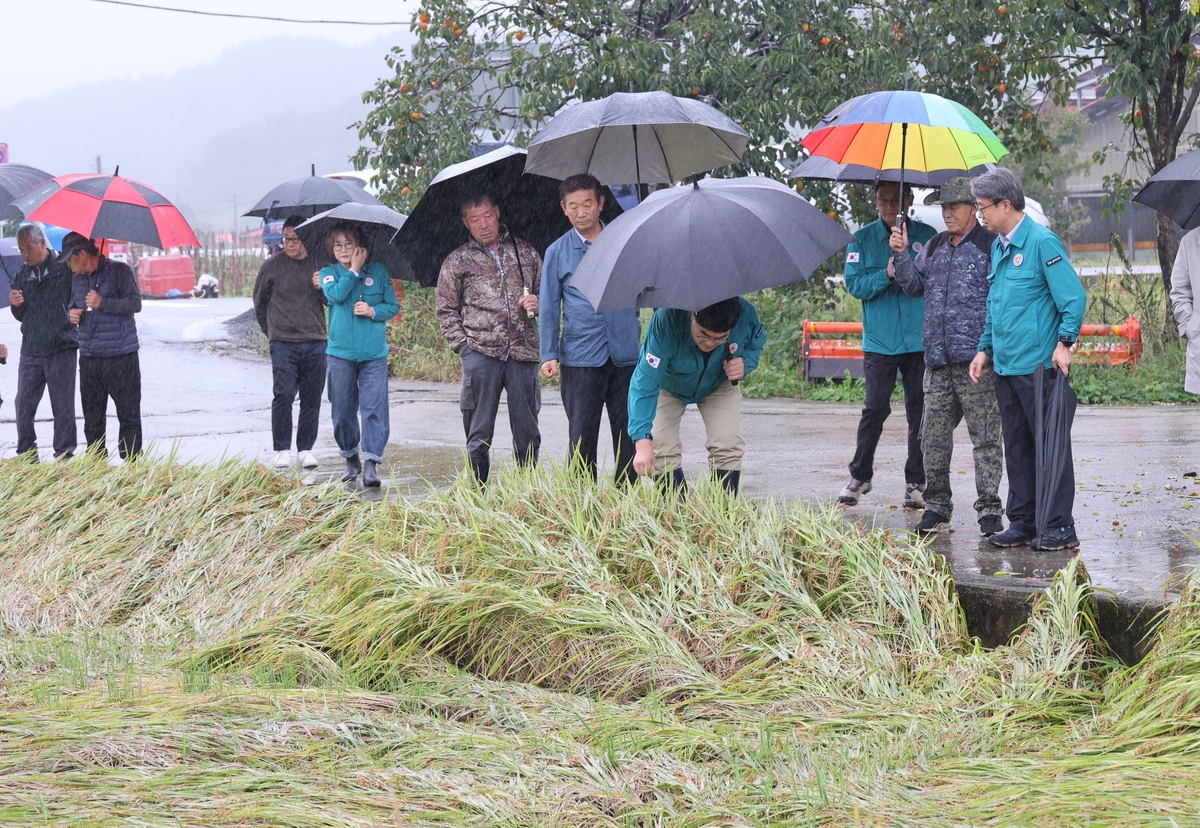 ESG / ESG오늘 / 이에스지