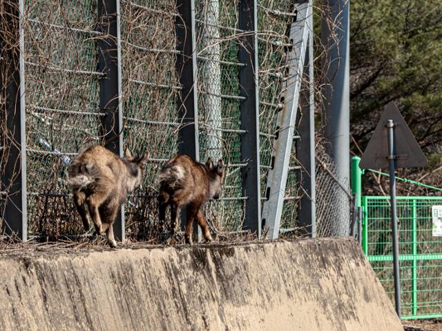 ESG / ESG오늘 / 이에스지