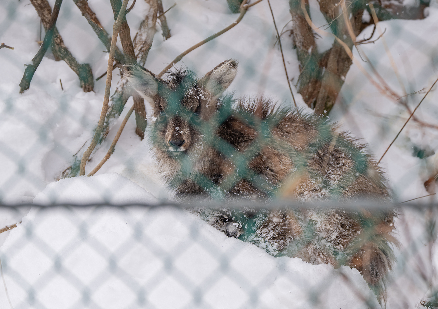 ESG / ESG오늘 / 이에스지