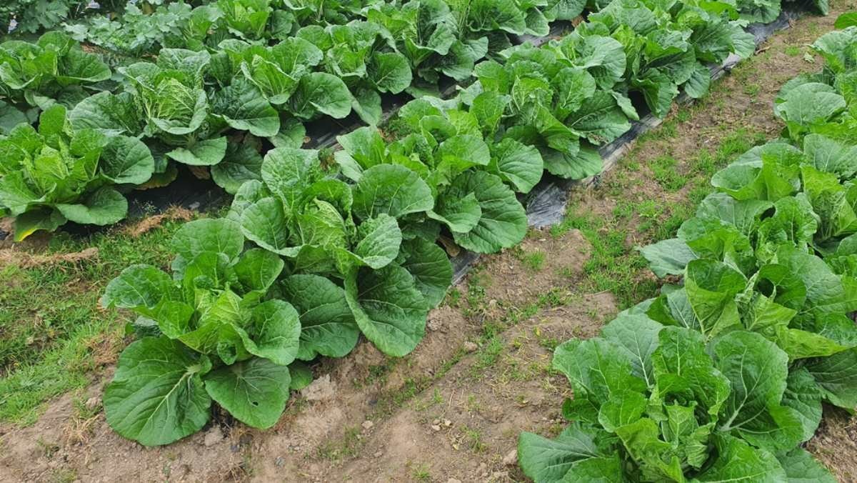 ESG / ESG오늘 / 이에스지