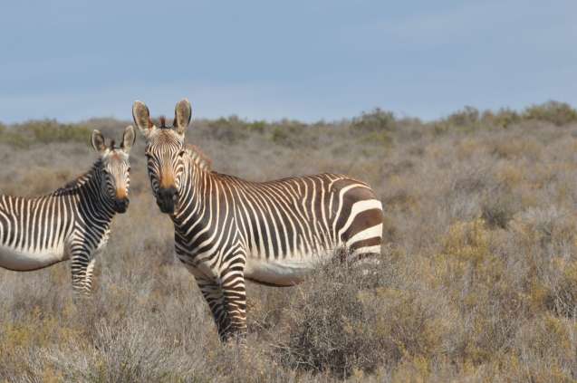 ESG / ESG오늘 / 이에스지